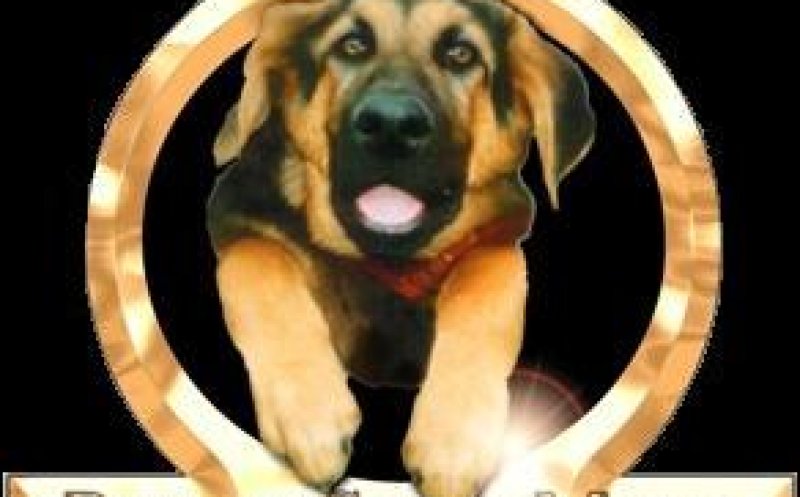 Nite Life (mono :(  (c)